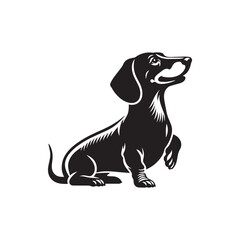 Dachshund Dog Vector Silhouette, Unique Long Body Canine Outline, Pet Lover Clipart, Playful Dog Art for Logos, Stickers, Apparel, Digital Prints, Crafts, and Posters.