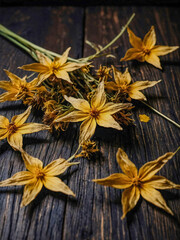 Golden stars and dried flowers on dark wood.