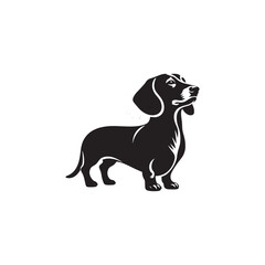 Dachshund Dog Vector Silhouette, Unique Long Body Canine Outline, Pet Lover Clipart, Playful Dog Art for Logos, Stickers, Apparel, Digital Prints, Crafts, and Posters.