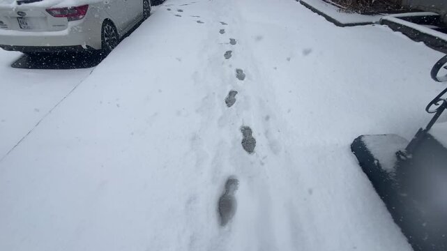 Spring snowfall in Montreal 