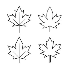 Obraz premium maple leaves isolated on white