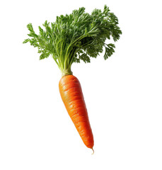 Floating carrot display in gigapixel image nature photography minimalist concept