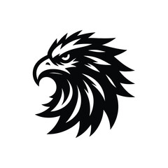 Black and White Eagle Head Illustration with Sharp Detailed Features