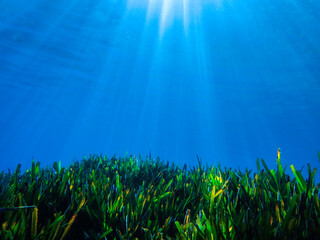 bubbles, bubble, water, underwater, sea, air, deep, undersea, under, background, wave, liquid,...