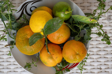 Still life of citrus fruits, natural tangerines and lemons in a plate. Autumn harvest
