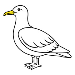 duck isolated on white