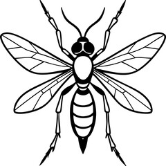 vector illustration of a wasp