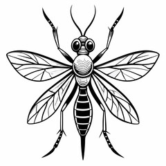 dragonfly vector illustration
