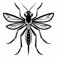 vector mosquito isolated on white