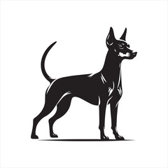 Miniature Pinscher Dog Vector Silhouette, Sleek Canine Outline, Energetic Small Dog Art for Pet Lovers, Logos, Stickers, Apparel, Digital Prints, Crafts, and Posters.