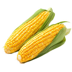 corn on a white background