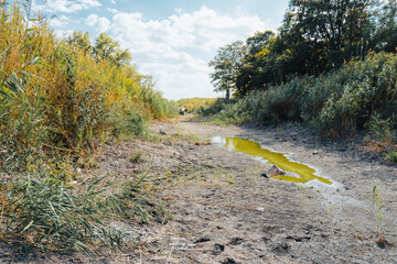 Dry river bed on a sunny summer day. Concept of climate change, drought and drying up of water bodies