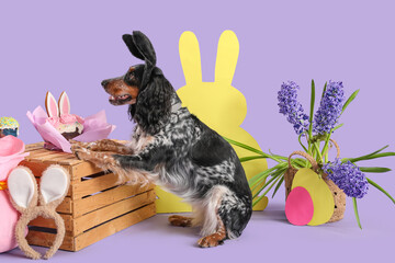 Cute cocker spaniel in bunny ears with Easter cakes, beautiful flowers, paper eggs and rabbit on...
