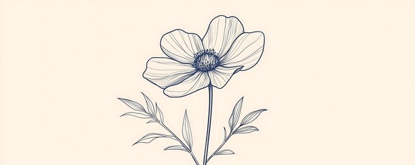 A delicate line illustration a flower blooming with thin, graceful petals