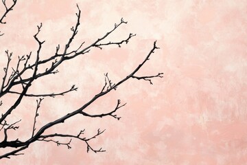Obraz premium Silhouette of branches against a light pink textured backdrop