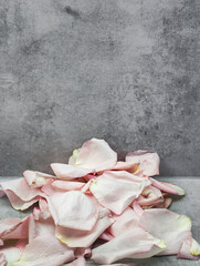 Soft pink rose petals scattered across gray surface, forming minimalist romantic composition background wallpaper copy space