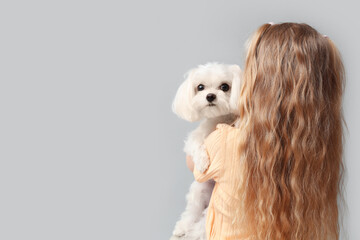 Little girl with cute Maltese dog on grey background