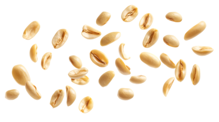 "Fresh Falling Beans Array on Clean White Background - Food Photography Concept"