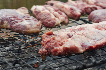  Close up view of pieces of fresh meat roasting on the grate of a barbecue for a picnic with friends and family.