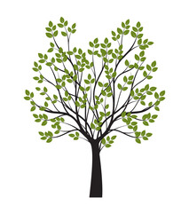 Shape of green Tree with Leaves. Vector outline Illustration.