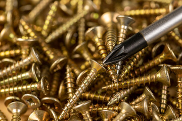 golden colored screws for construction, board and metal screws with a screwdriver for mounting,...