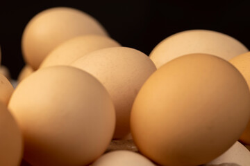 eggs closeup, fresh chicken eggs during packaging, side view