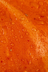 wet pumpkin with sweet flesh, orange pumpkin from which various types of dishes are prepared