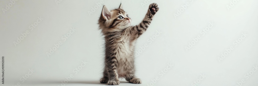 Poster fluffy kitten playfully raising one paw against a white background in a minimalistic setup, showcasi