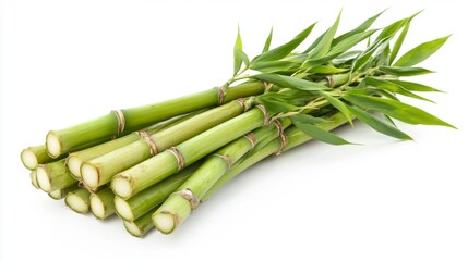 Fototapeta premium Fresh green bamboo stalks with leaves isolated on white background.