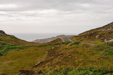 A hillside with a road leading to the ocean