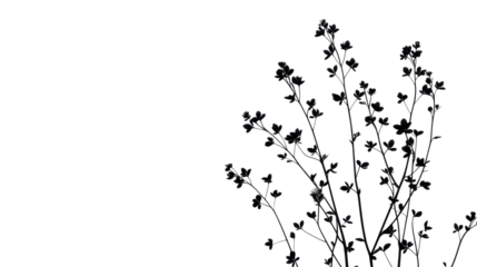 Delicate Floral Sprigs on Black, Abstract Botanical, Cut Out Transparent