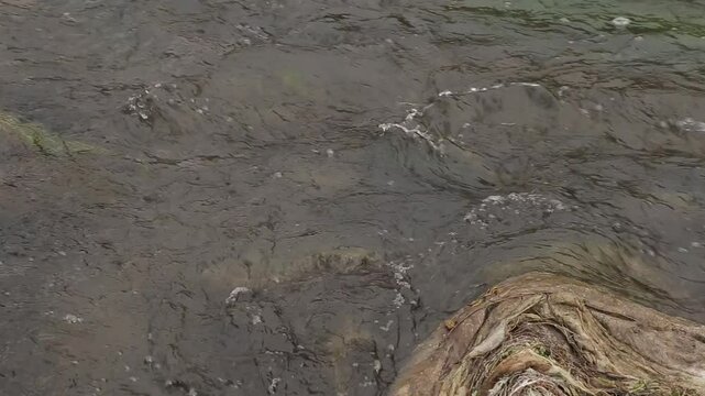 
A rock is dropped into a flowing river, creating a splash. The water ripples and swirls around the rock, showing the power and movement of the river.
