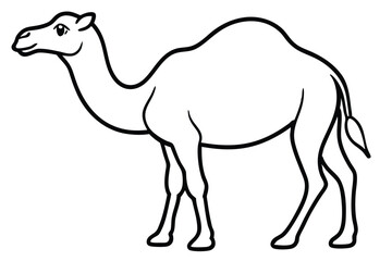  coloring Camel outline vector illustration and ready for print.