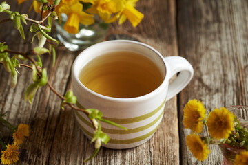 A ceramic cup of coltsfoot tea with fresh coltsfoot flowers