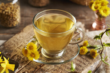 A transparent glass cup of coltsfoot tea with fresh coltsfoot flowers