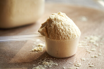 Whey protein powder in a plastic measuring spoon