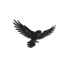 Obraz premium Black Crow in Flight