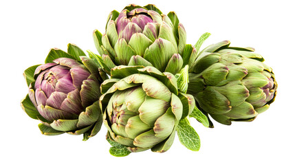 Artichokes, fresh raw vegetables close-up, cut out transparent