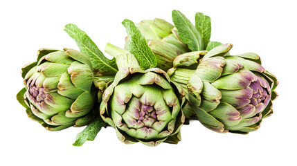 Fototapeta premium Fresh artichokes composition, green and purple, macro studio shot, cut out transparent