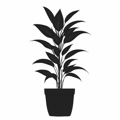 Eco-Friendly Indoor Houseplant Silhouette: Modern Botanical Decor and Home Aesthetics