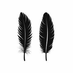 Black Feather Illustration with Tropical Wing Pattern: Elegant and Eco-Friendly Design