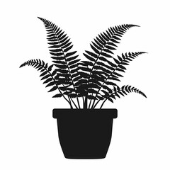 Eco-Friendly Indoor Fern Plant Silhouette: Biophilic Design and Natural Beauty in Interior Decor
