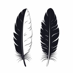 Black and White Feather Illustration: Ornamental Vector Art Design Featuring Delicate Bird Motif and Rustic Textured Pattern