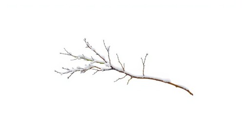 Obraz premium A solitary snow-laden branch, stark against a pristine white background, image, snow, background