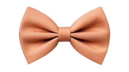Bronze bowtie formal wear for wedding, cutout transparent