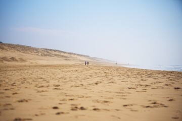 Two people stroll along a wide, quiet beach under clear blue skies, surrounded by soft sand dunes and distant shoreline. 