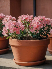 Pink flowers in a terracotta pot, perfect for decor.