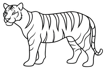 coloring  Tiger outline vector illustration and ready for print.