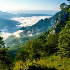 Obraz premium Morning mountain landscape with clouds and snow-covered peaks in the Alps, surrounded by green forests and a serene lake