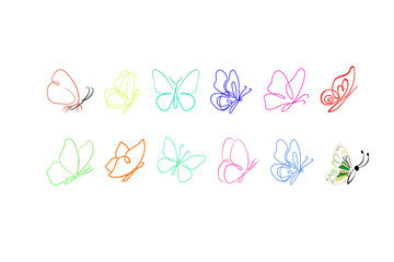 COLORFUL BUTTER FLY